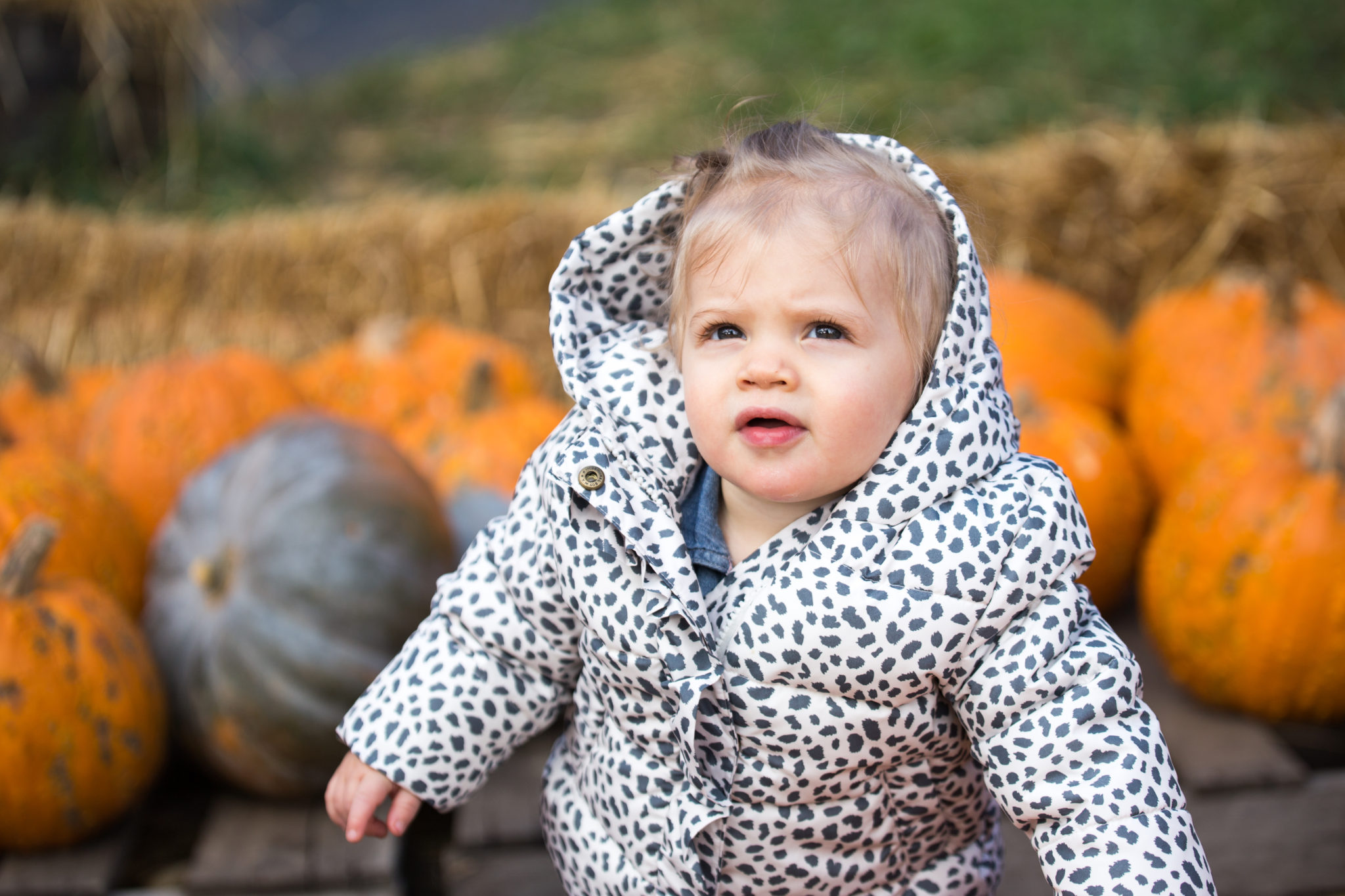 toddler style | fall style | outdoor photography | family photography | child photography | lifestyle photography | allweareblog.com